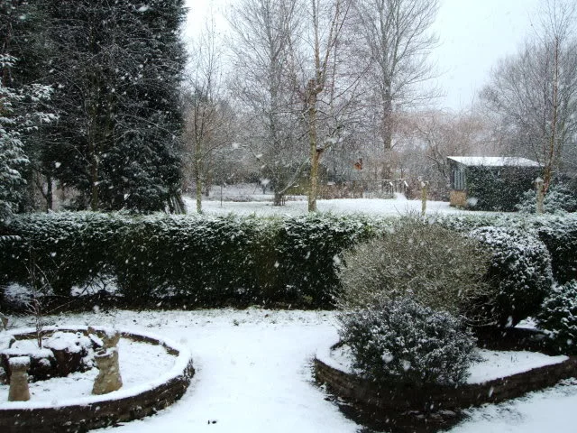 snow2.webp