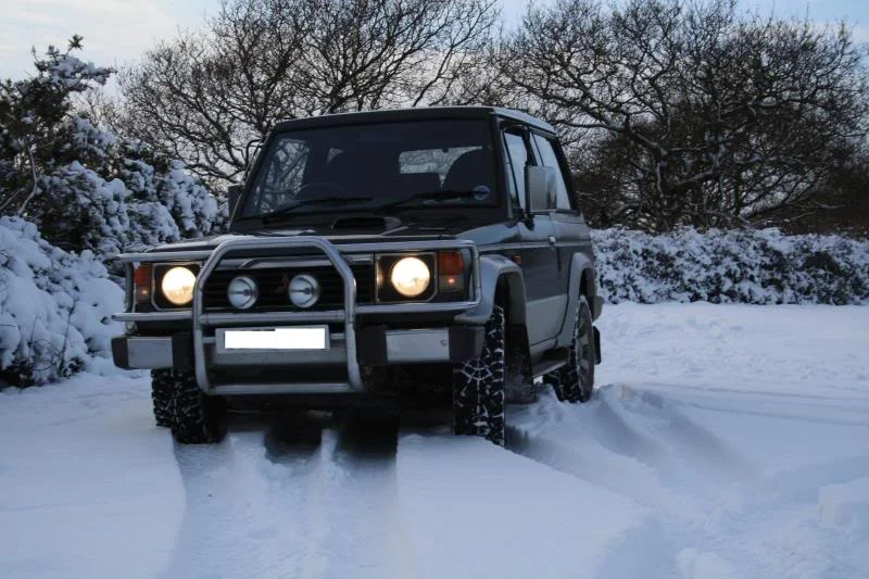 snow2010174.webp