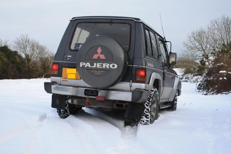 snow2010175.webp