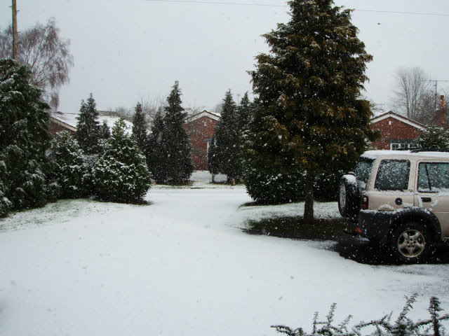 snow3.jpg