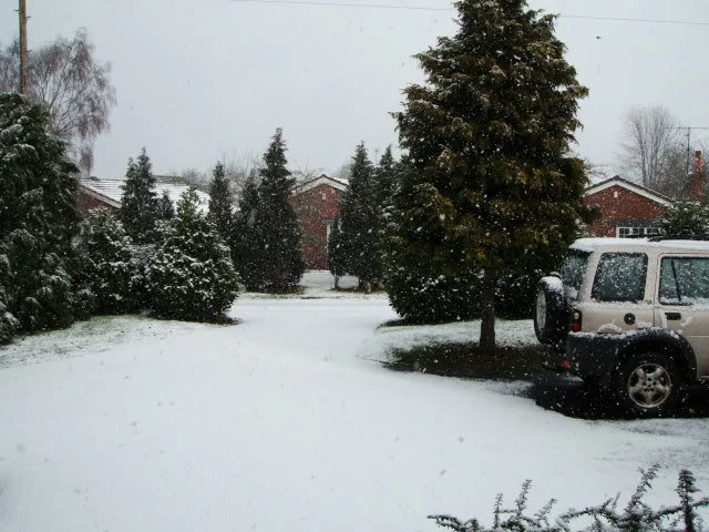 snow3.webp