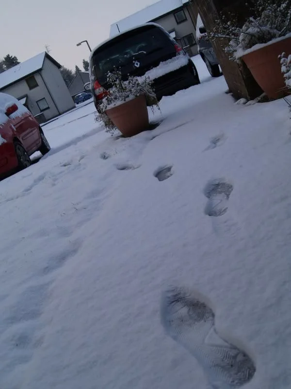 snow3.webp