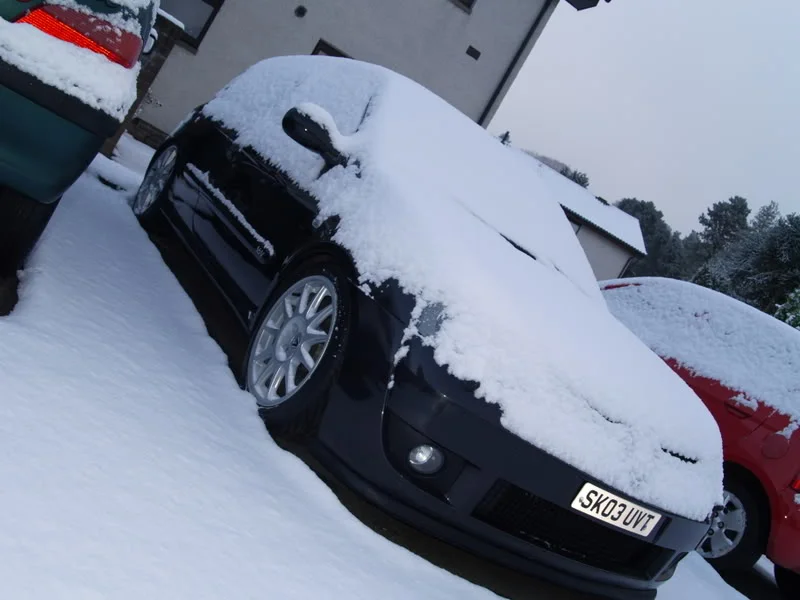 snow7.webp