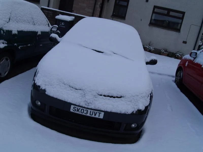 snow8.webp
