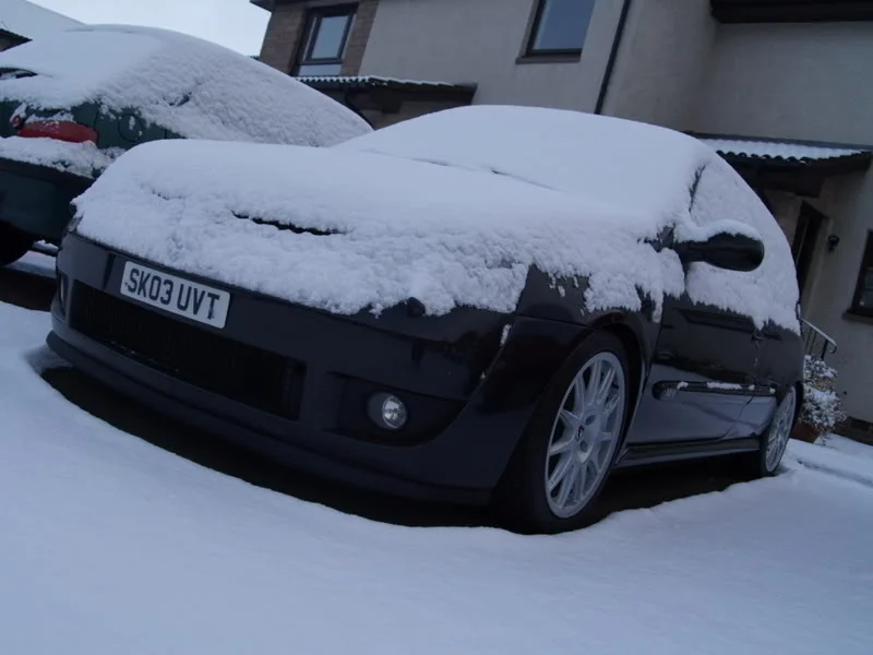 snow9.webp
