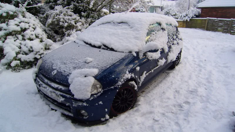 snowjan2.webp