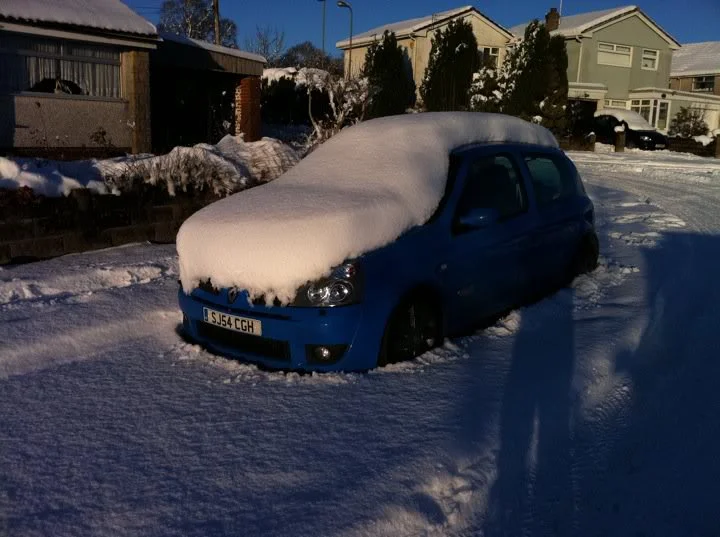 snoww.webp