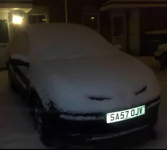 Snowy-1.webp