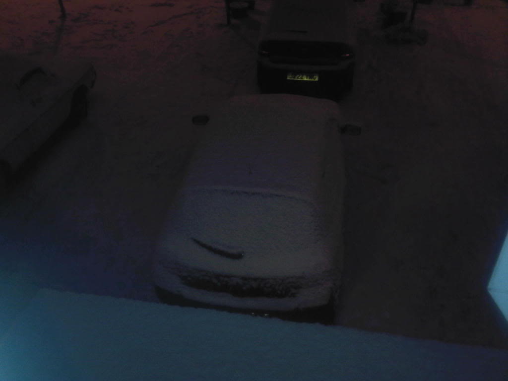 Snowy-2.jpg