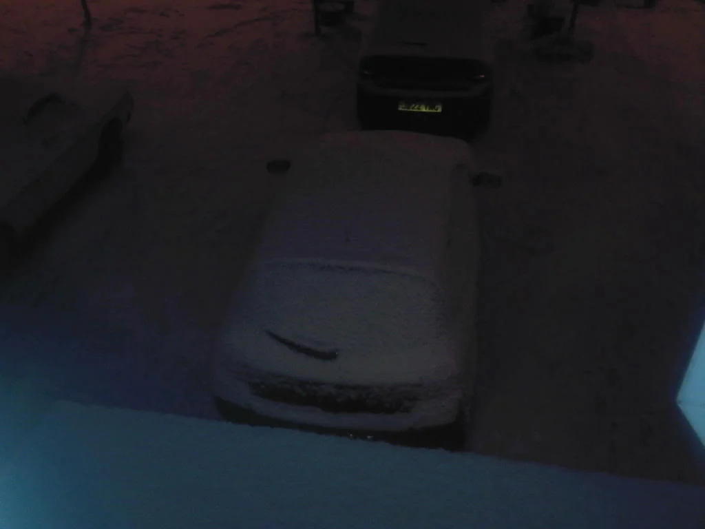 Snowy-2.webp