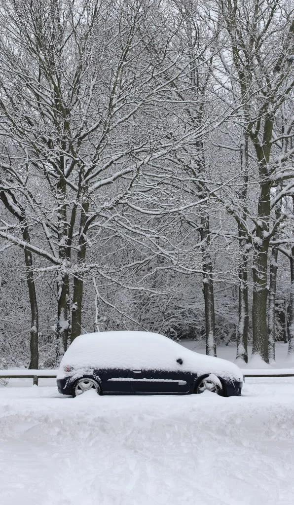 SnowyClio.webp
