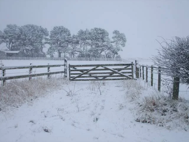 Snowygate640.webp