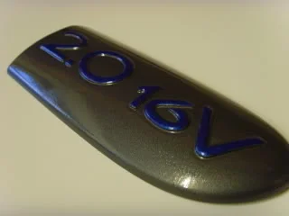 SNV30310.webp