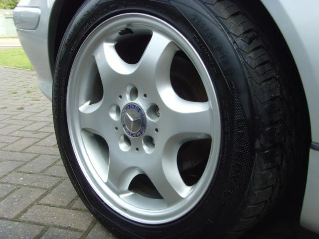 SNV31212.jpg SNV31212.jpg