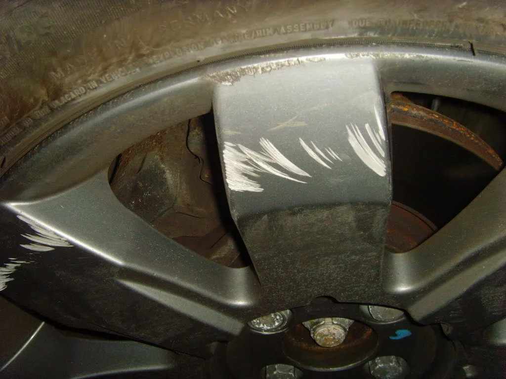 SNV33734.webp