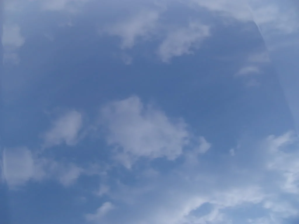 SNV84217.webp