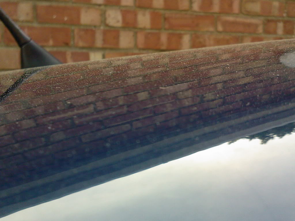 SP_A0017.jpg SP_A0017.jpg