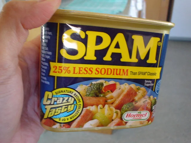 spam%20can.webp