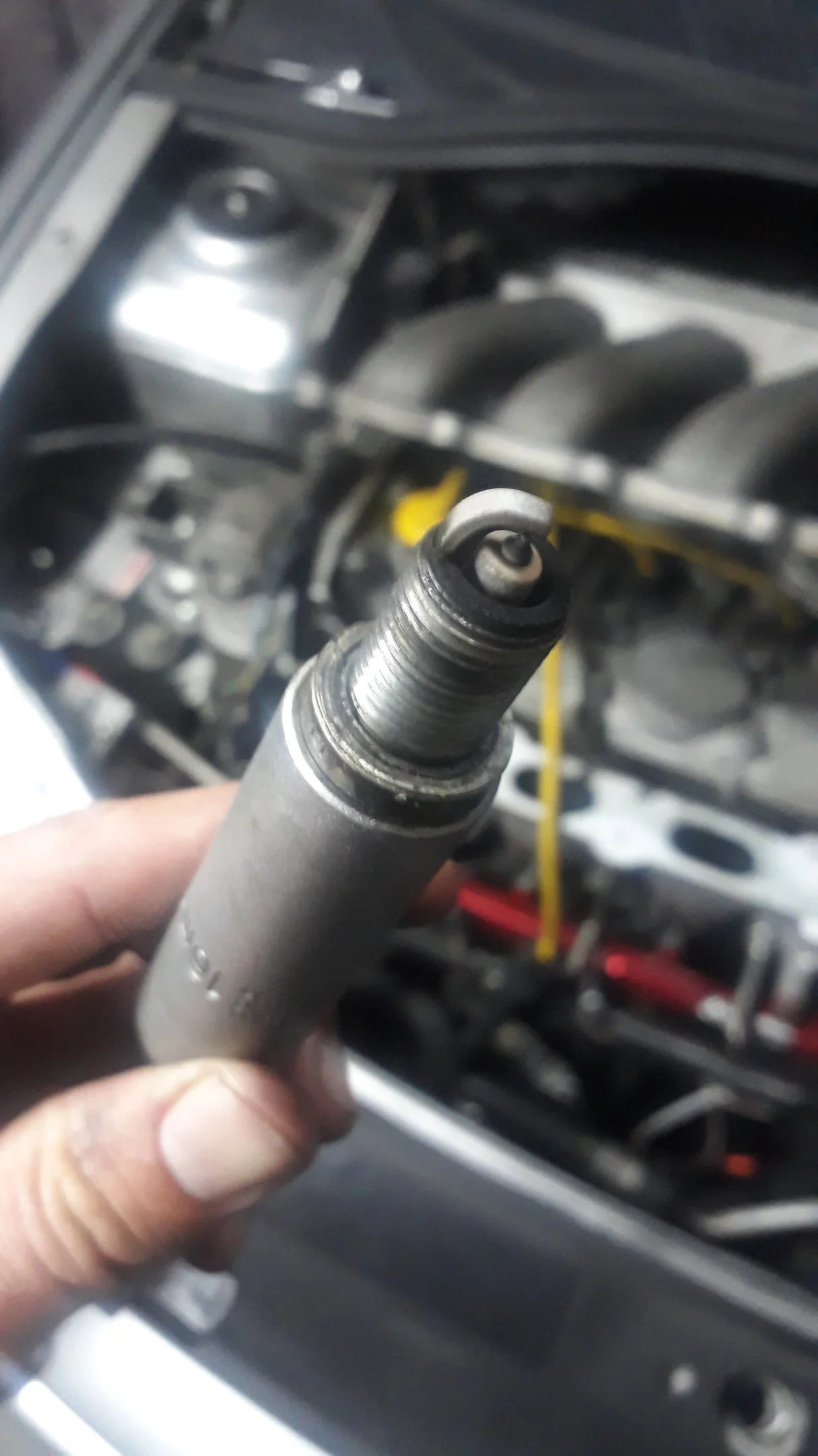 spark plugs.webp