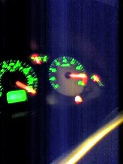 speedo.webp