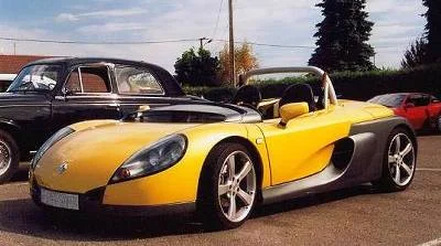 spider.webp