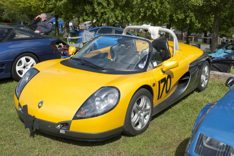 spideryellow_zps26269a16.jpg