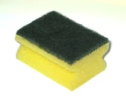 sponge250.webp