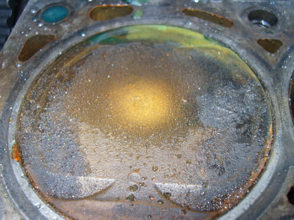 SS100018.webp