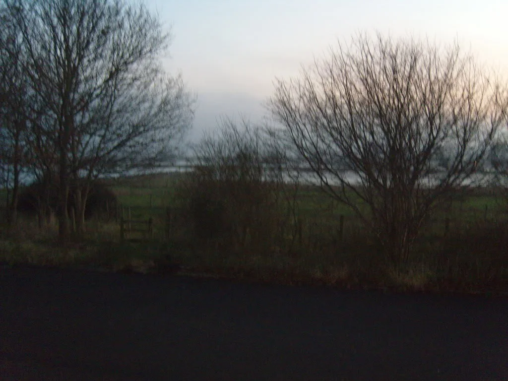 SS100031.webp