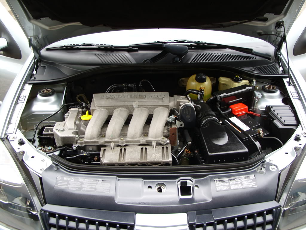 SS851170.jpg