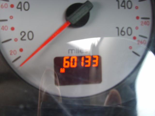 SSL23235.jpg