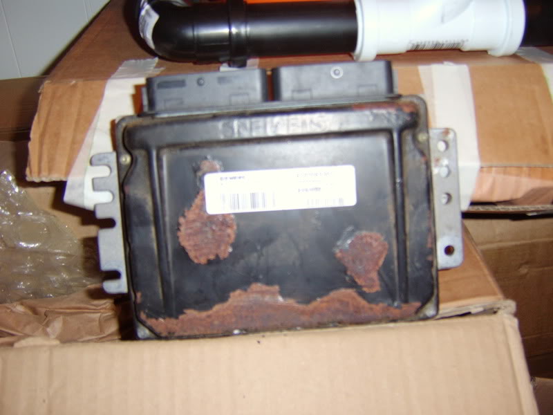 STA60139.jpg