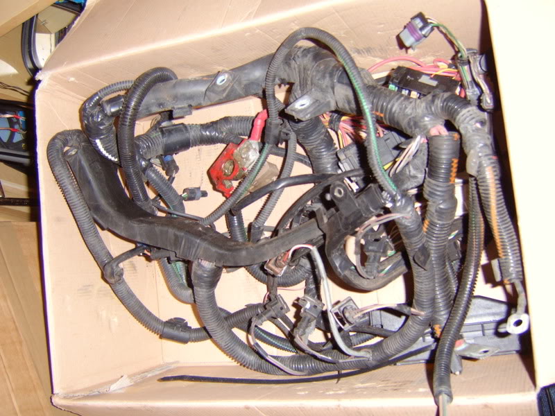 STA60140.jpg