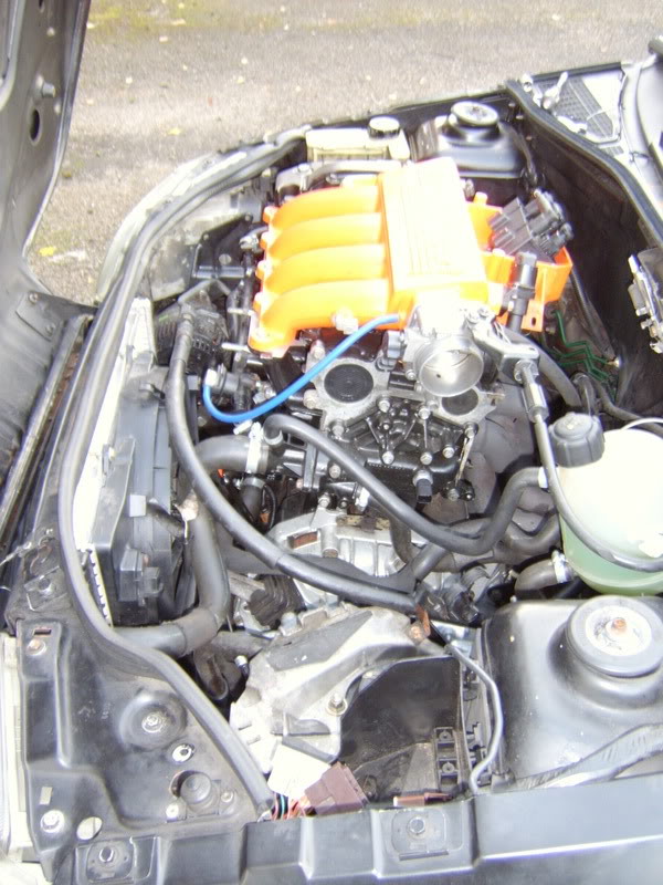 STA60266.jpg
