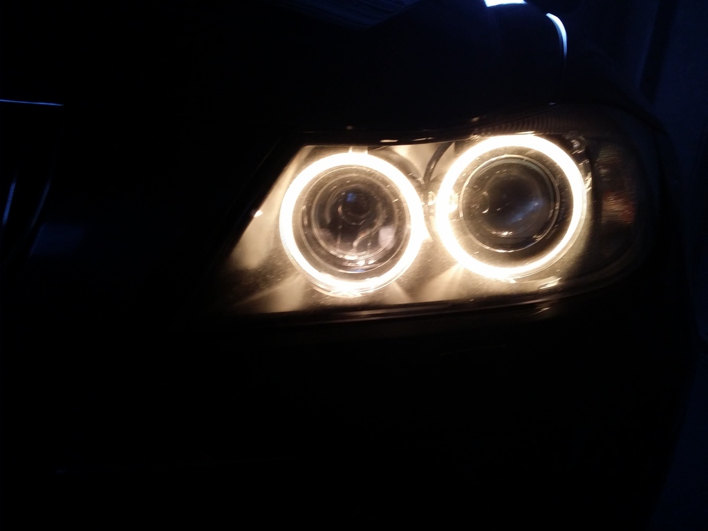 Std%20Halogen.jpg