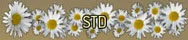 STD.webp
