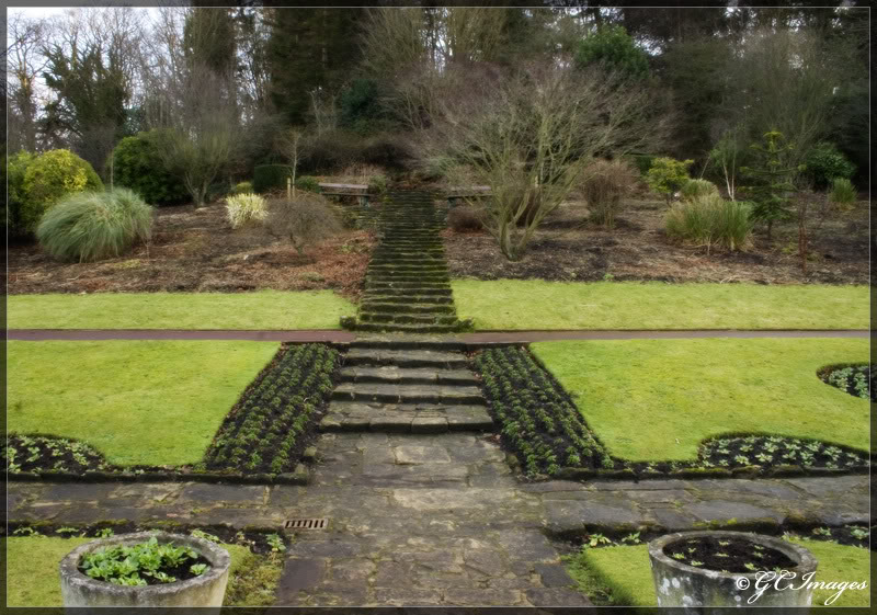 Steps.jpg Steps.jpg
