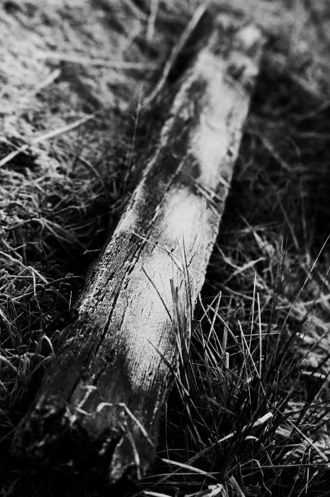 stick.jpg