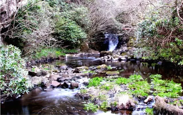 stream.webp