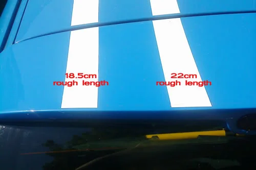 stripes_spoiler.webp