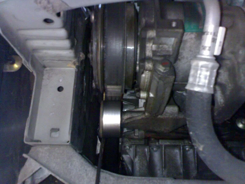 stripped3.webp