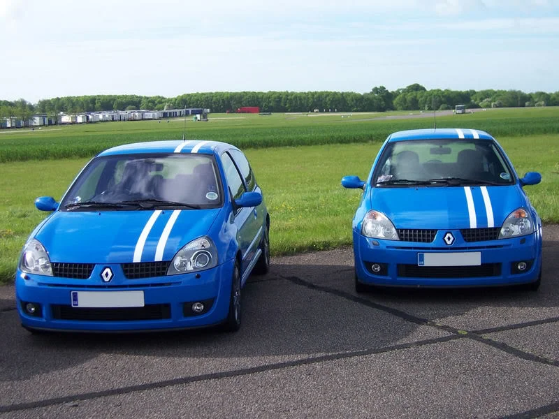 stripy.webp