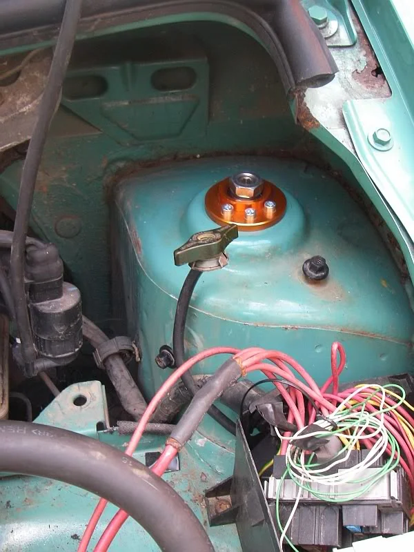 struttop10.webp