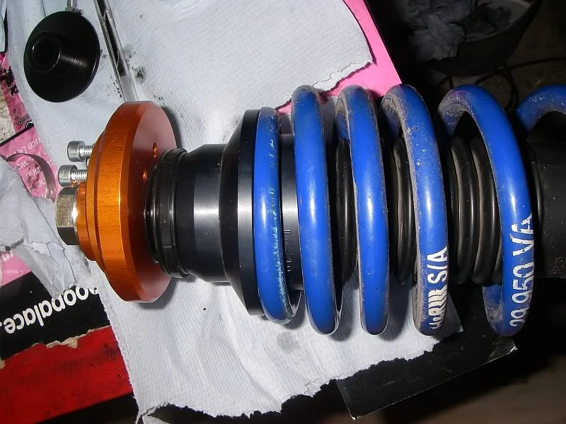 struttop8.webp