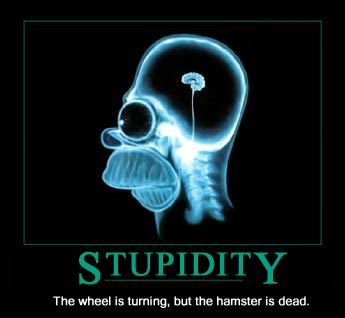 stupidity.jpg stupidity.jpg