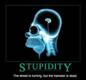 stupidity.webp