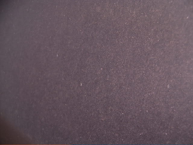 SUC30030-1.jpg SUC30030-1.jpg