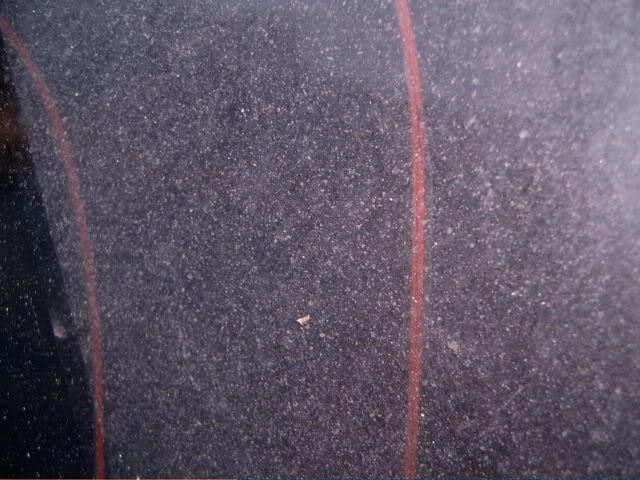 SUC30031-1.jpg SUC30031-1.jpg