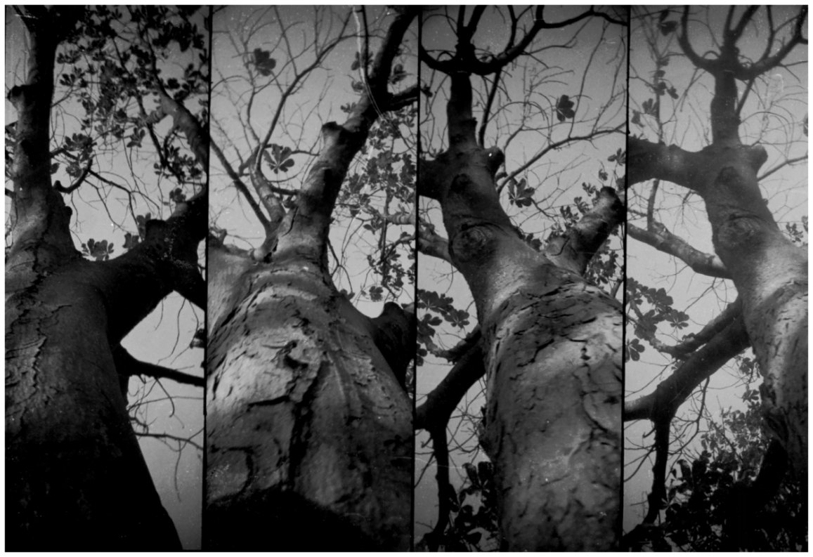 Such_Great_Heights_____by_wastemytimewithyou.jpg Such_Great_Heights_____by_wastemytimewithyou.jpg