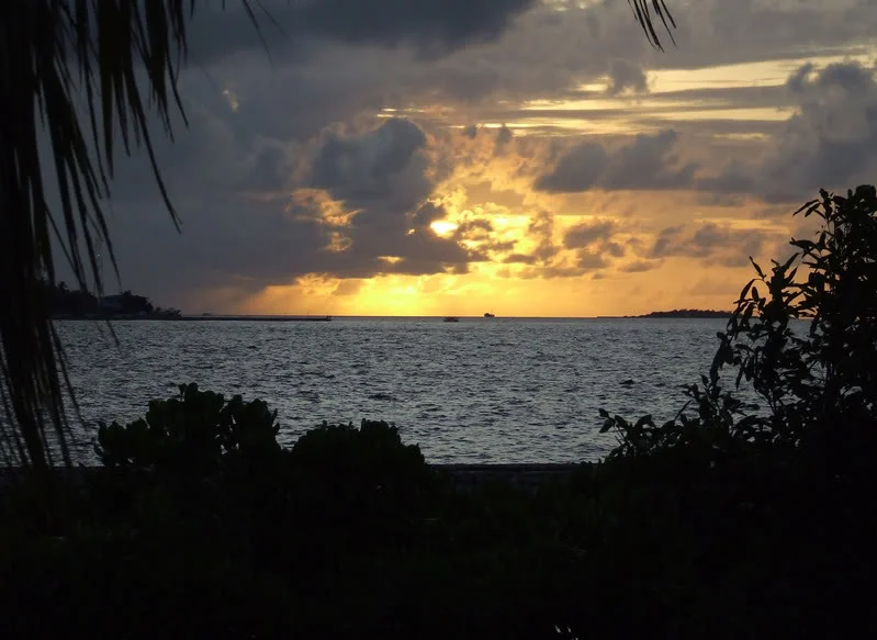 SUNSET-1.webp